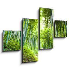 Obraz   Bamboo forest and walkway, 120 x 90 cm