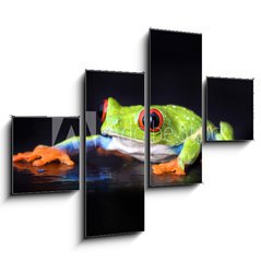 Obraz 4D tydln - 120 x 90 cm F_IB6076721 - frog macro - a red-eyed tree frog isolated on black