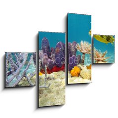 Obraz   Colorful underwater marine life seabed, 120 x 90 cm