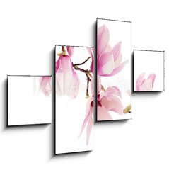 Obraz 4D tydln - 120 x 90 cm F_IB61798470 - Pink spring magnolia flowers branch