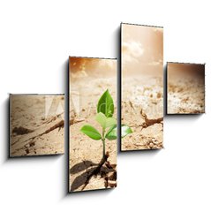 Obraz 4D tydln - 120 x 90 cm F_IB62660495 - plant in arid land - climate warming and drought  concept