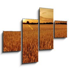 Obraz 4D tydln - 120 x 90 cm F_IB6287668 - Field of wheat at sunset - Pole penice pi zpadu slunce