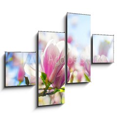 Obraz 4D tydln - 120 x 90 cm F_IB64325812 - Beautiful blossoming magnolia tree in the spring time