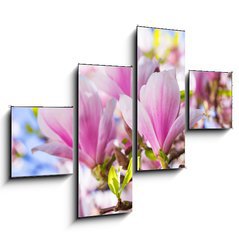 Obraz 4D tydln - 120 x 90 cm F_IB64325849 - Beautiful blossoming magnolia tree in the spring time