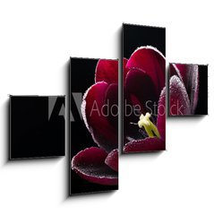 Obraz 4D tydln - 120 x 90 cm F_IB64511912 - Wet purple-black tulip.