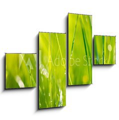 Obraz 4D tydln - 120 x 90 cm F_IB64529085 - Fresh green grass with dew drops closeup. Soft Focus