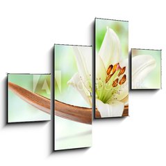 Obraz 4D tydln - 120 x 90 cm F_IB64734050 - Beautiful white lily flower on a coco palm leaf
