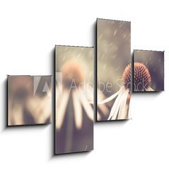 Obraz 4D tydln - 120 x 90 cm F_IB64765134 - summer flower under rain