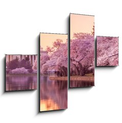 Obraz 4D tydln - 120 x 90 cm F_IB64932334 - the Jefferson Memorial during the Cherry Blossom Festival