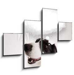 Obraz 4D tydln - 120 x 90 cm F_IB66240953 - Cute dog with empty cloud bubble