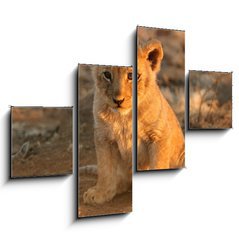 Obraz 4D tydln - 120 x 90 cm F_IB682146 - lion cub