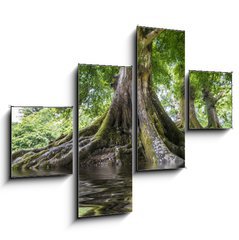 Obraz   big old tree and a river, 120 x 90 cm