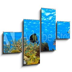 Obraz 4D tydln - 120 x 90 cm F_IB68530036 - underwater panorama of a tropical reef in the caribbean - podvodn panorama tropickho tesu v Karibiku