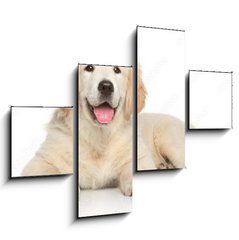 Obraz 4D tydln - 120 x 90 cm F_IB69054182 - Golden Retriever puppy on white background