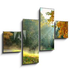 Obraz   Beautiful autumn tree with fallen dry leaves, 120 x 90 cm