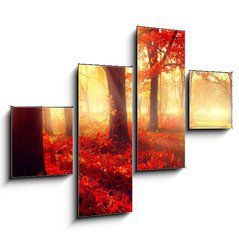 Obraz 4D tydln - 120 x 90 cm F_IB69511191 - Fall scene. Beautiful autumnal park in sunlight