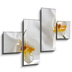 Obraz 4D tydln - 120 x 90 cm F_IB69659288 - Detail of two orchid flowers.