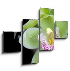 Obraz tydln 4D - 120 x 90 cm F_IB6971855 - Green orchid with red spots
