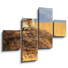 Obraz   Cheetah on the Masai Mara in Africa, 120 x 90 cm