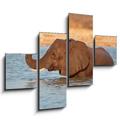 Obraz 4D tydln - 120 x 90 cm F_IB70143412 - Elephant in water, Etosha National Park