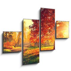 Obraz 4D tydln - 120 x 90 cm F_IB70441318 - Autumn scene. Fall. Trees and leaves in sun light