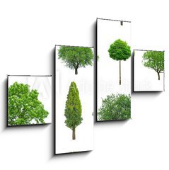 Obraz 4D tydln - 120 x 90 cm F_IB70577212 - tree