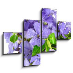 Obraz tydln 4D - 120 x 90 cm F_IB7068319 - Small violet of flower on white background