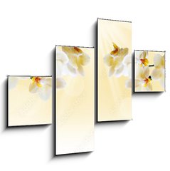 Obraz 4D tydln - 120 x 90 cm F_IB72852358 - Beautiful white orchid