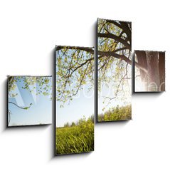 Obraz 4D tydln - 120 x 90 cm F_IB75811470 - Oak tree
