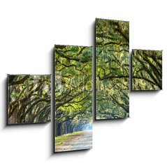 Obraz 4D tydln - 120 x 90 cm F_IB76209403 - Country Road Lined with Oaks in Savannah, Georgia - Country Road lemovan s duby v Savannah, Gruzie