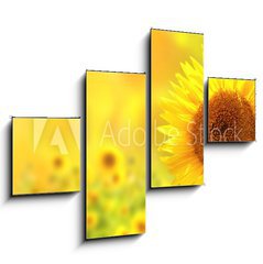 Obraz 4D tydln - 120 x 90 cm F_IB76362209 - Sunflowers