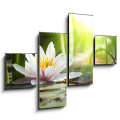 Obraz 4D tydln - 120 x 90 cm F_IB76650282 - lotus flower