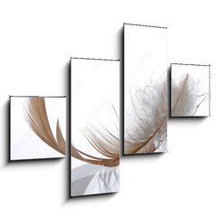 Obraz 4D tydln - 120 x 90 cm F_IB77181584 - Feder