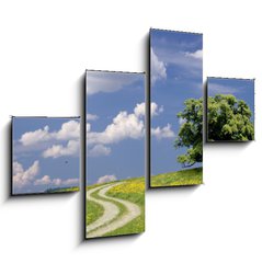 Obraz tydln 4D - 120 x 90 cm F_IB7861110 - Weg zur Ruhe - Cesta k odpoinku