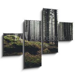 Obraz   wilderness landscape forest with pine trees and moss on rocks, 120 x 90 cm