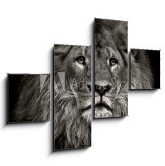 Obraz 4D tydln - 120 x 90 cm F_IB80704831 - arrogant lion