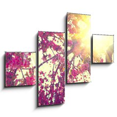 Obraz   Spring blossom. Beautiful nature scene with blooming tree, 120 x 90 cm