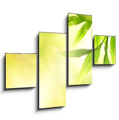 Obraz 4D tydln - 120 x 90 cm F_IB8266726 - Green bamboo leaves over abstract blurred background