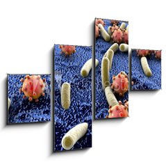 Obraz   Bacteria and viruses on surface of skin, mucous membrane or intestine, model of MERS, HIV, flu, Escherichia coli, Salmonella, Klebsiella, Legionella, Mycobacterium tuberculosis, model of microbes, 120 x 90 cm