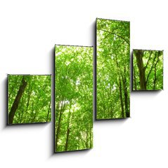 Obraz tydln 4D - 120 x 90 cm F_IB9130682 - sunlight in trees of green forest