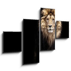 Obraz 4D tydln - 120 x 90 cm F_IB91596969 - Portrait of a Beautiful lion, lion in the dark