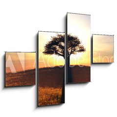 Obraz 4D tydln - 120 x 90 cm F_IB91708972 - sunset and tree - zpad slunce a strom