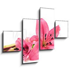 Obraz tydln 4D - 120 x 90 cm F_IB9265067 - Pink lily