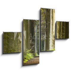 Obraz   nature pathway, 120 x 90 cm