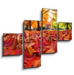 Obraz 4D tydln - 120 x 90 cm F_IB95226612 - autumn leaves