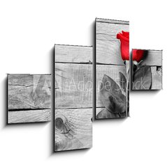 Obraz 4D tydln - 120 x 90 cm F_IB95876705 - Red rose on black and white wooden background