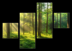Obraz 4D tydln - 120 x 90 cm F_IB967529857 - Sunbeams Filtering Through a Lush Forest