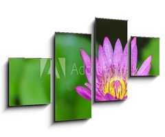 Obraz 4D tydln - 100 x 60 cm F_IS100962988 - Beautiful lotus bloom bright - Krsn lotus kvetou jasn