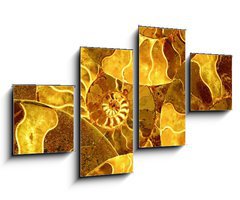 Obraz   ammonite nautilus sea shell fossil background, 100 x 60 cm