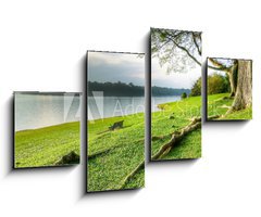 Obraz   Grassy Banks Under Large Tree at Sunset, 100 x 60 cm